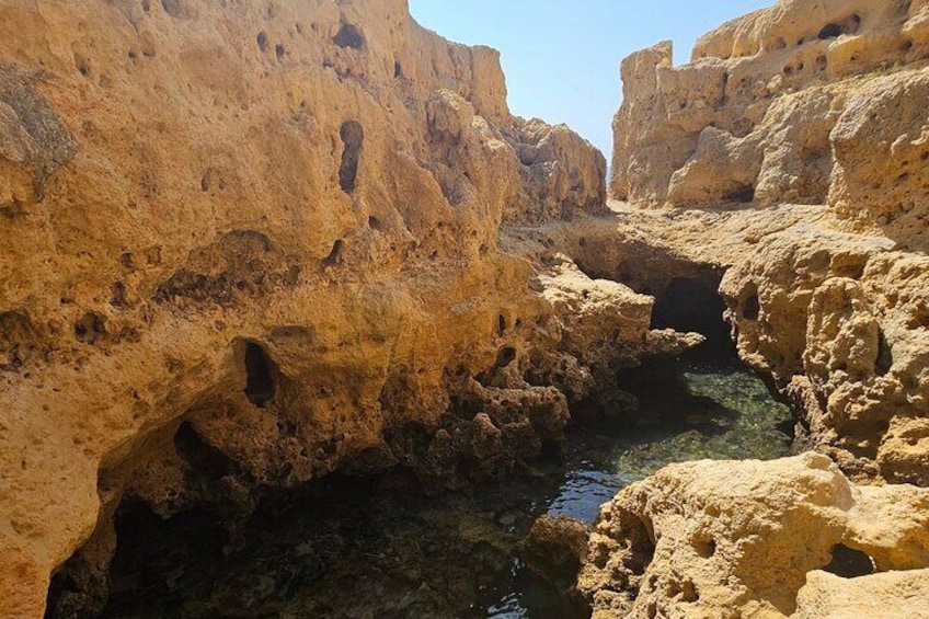 From Faro: Unveiling Benagil Cave & The Seven Hanging Valleys