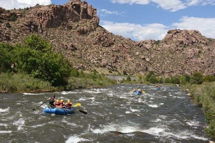 Intermediate Bighorn Sheep Canyon Whitewater Rafting Trip