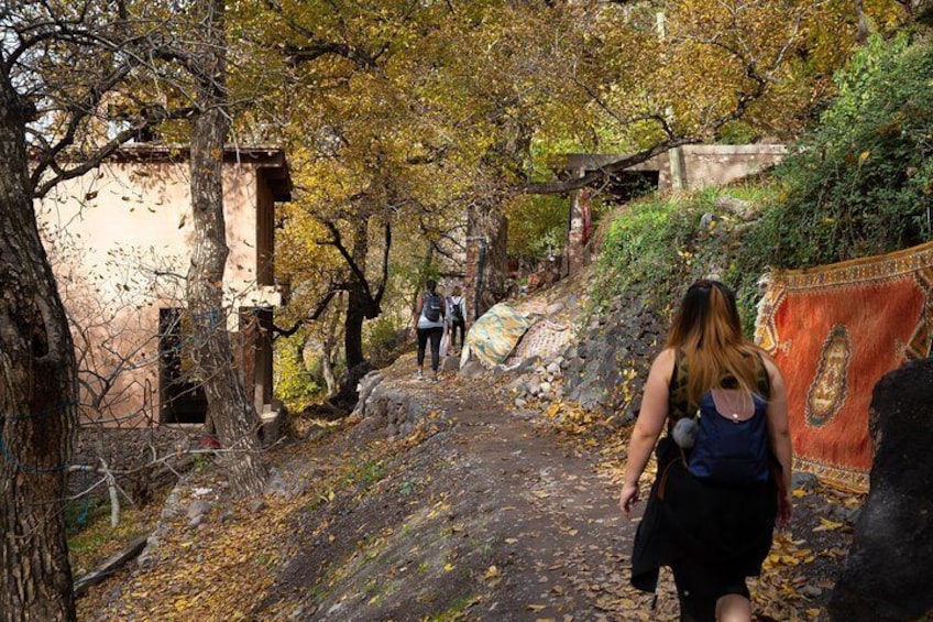 Along Ait Souka, a small Berber community, a steep road leads to a nearby waterfall.