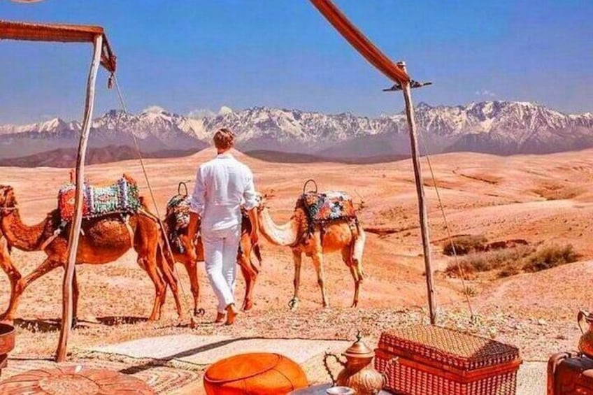 Atlas Mountains and Three Valleys & Waterfalls - Camel ride Day Trip Marrakech
