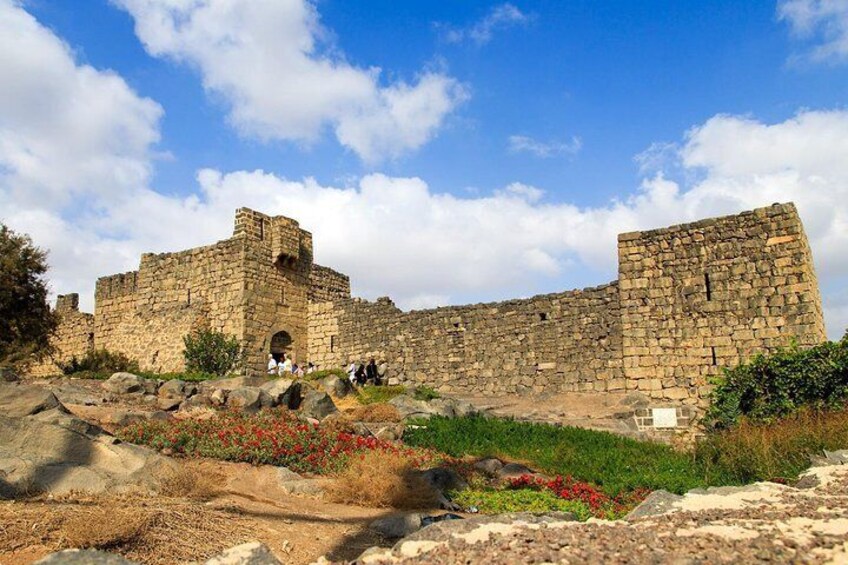 Day Tour Desert Castles & Azraq Wetland Reserve