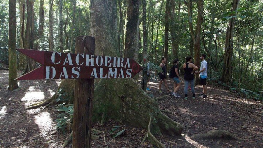 Tijuca Forest Trail