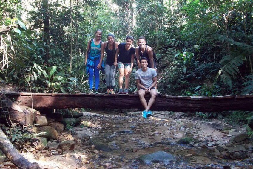 Bico do Papagaio Hiking Tour Tijuca Forest