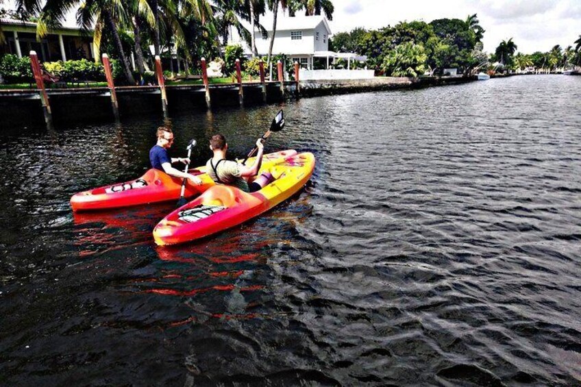 Stable Kayaks to paddle Island City