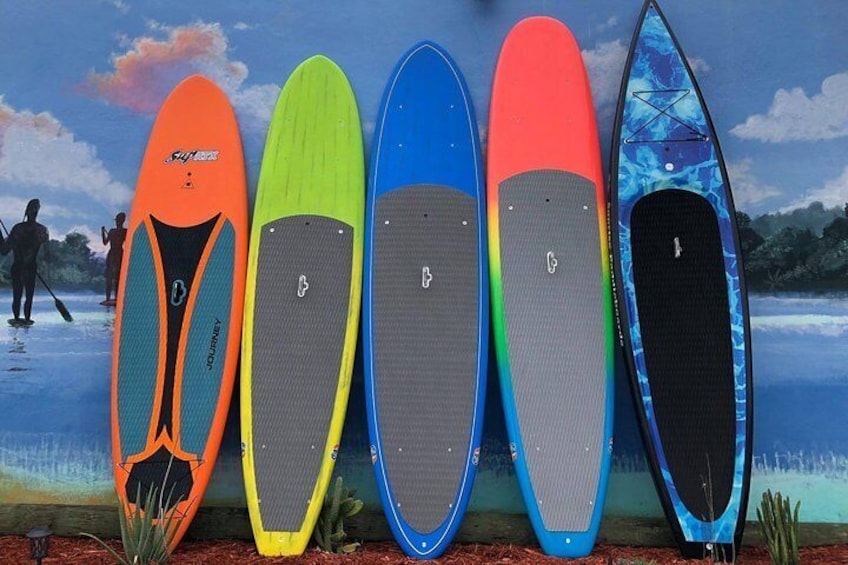 Awesome Paddle Boards for All Sizes and Types

