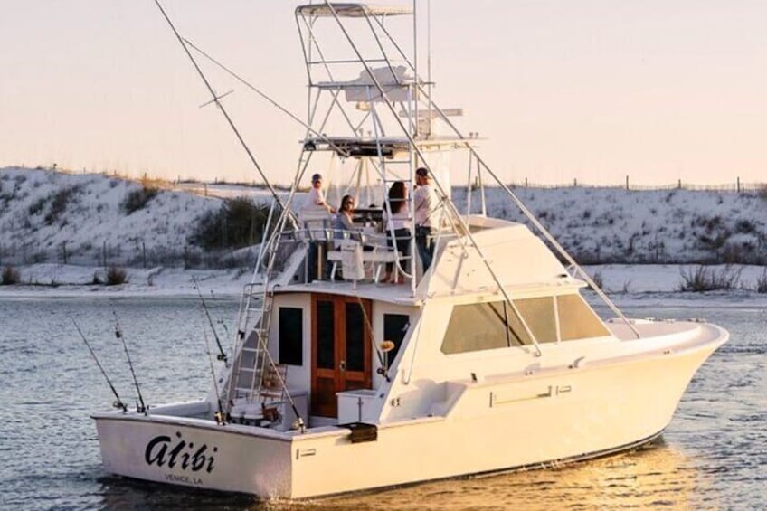 6 Hour Family Fun Fishing Charter on a 42’ Sportfish ,Alibi