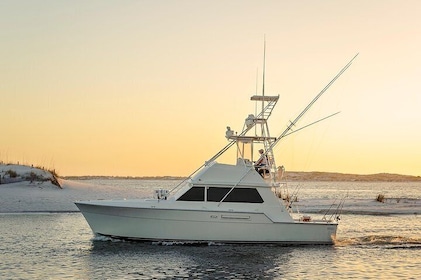 6 Hour Family Fun Fishing Charter on a 42’ Sportfish ,Alibi