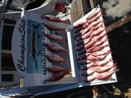 Championship Offshore fishing