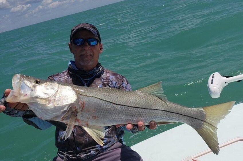 big wreck snook