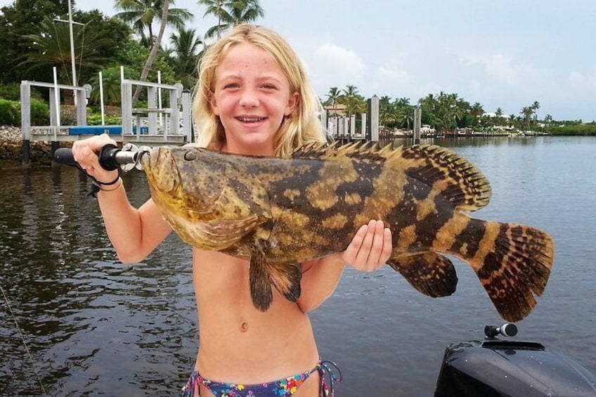 Nice Jewfish