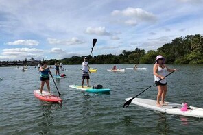 Paddleboard Rental