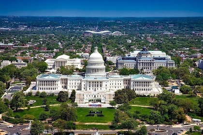 Private Half-Day Sightseeing Tour of Washington DC