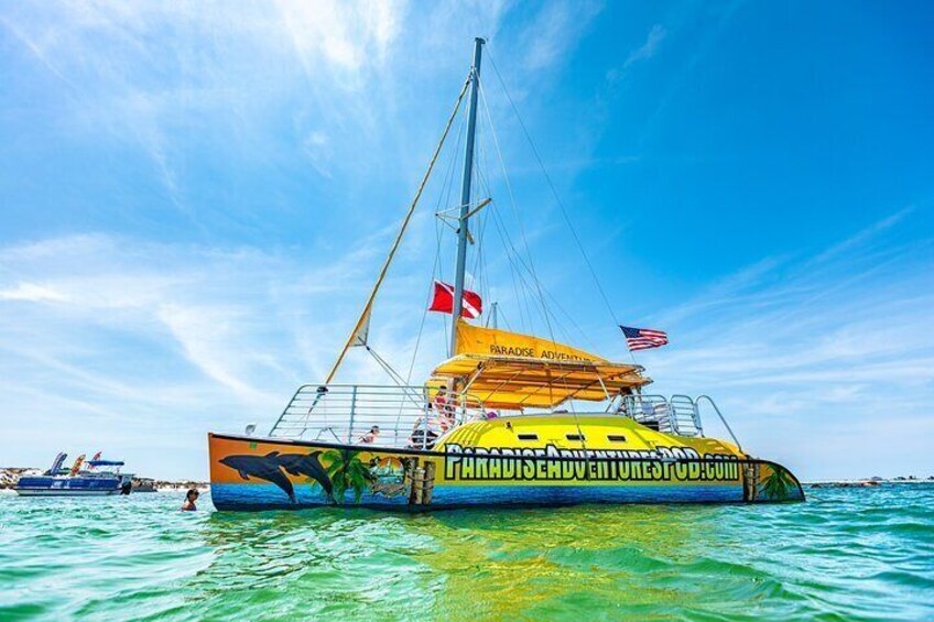 Footloose Catamaran Snorkel and Dolphin Watch Tour