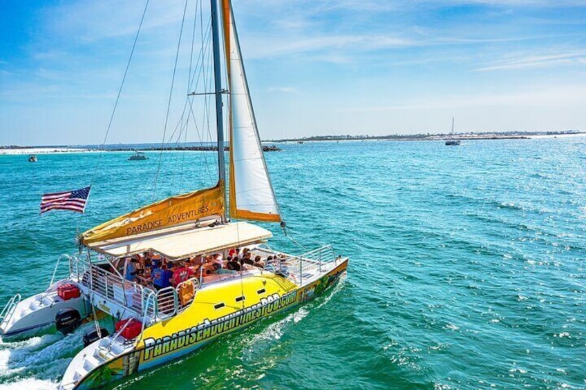 Catamaran Snorkel and Dolphin Watch Tour in Panama City Beach