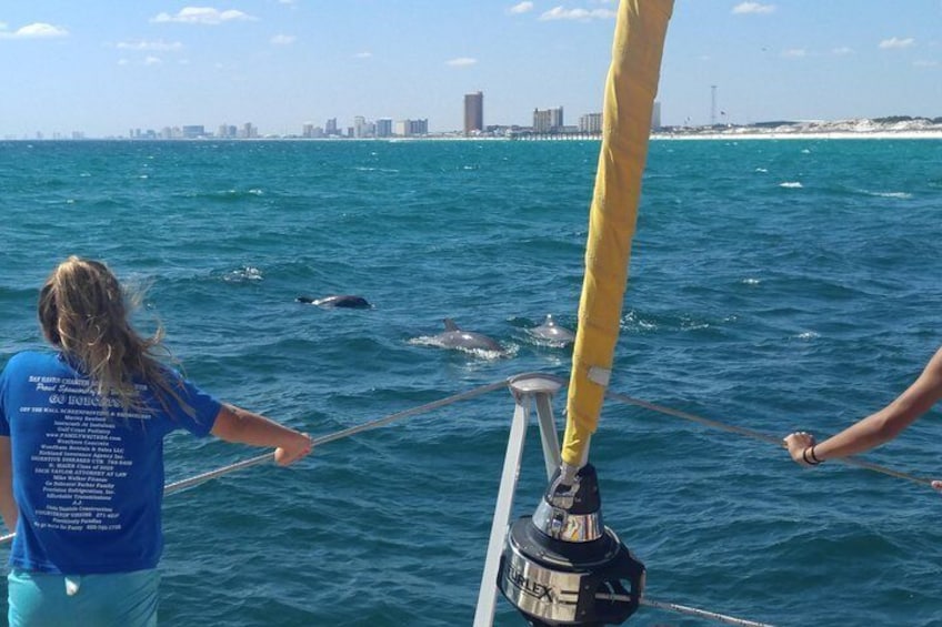 Catamaran Snorkel and Dolphin Watch Tour in Panama City Beach