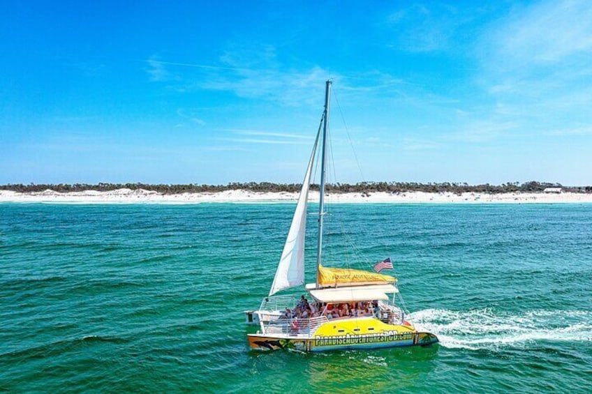 Catamaran Snorkel and Dolphin Watch Tour in Panama City Beach