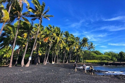 Small-Group Big Island Tour: Hawaii Volcanoes National Park and Kona Coffee...