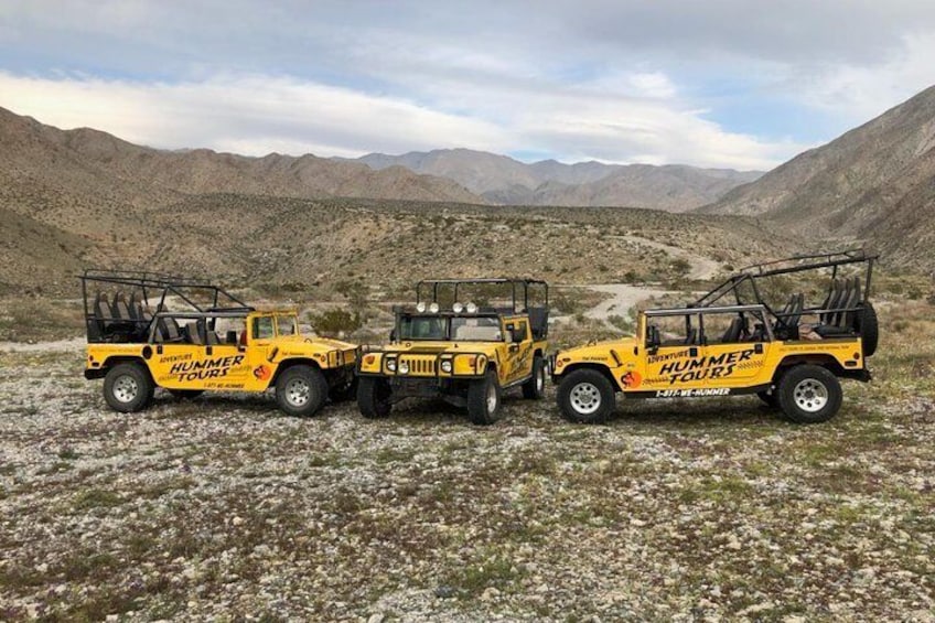 Joshua Tree Hummer Adventure from Palm Desert