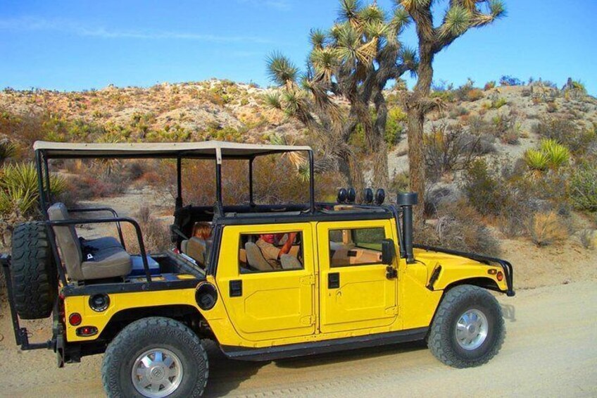 Joshua Tree Hummer Adventure 