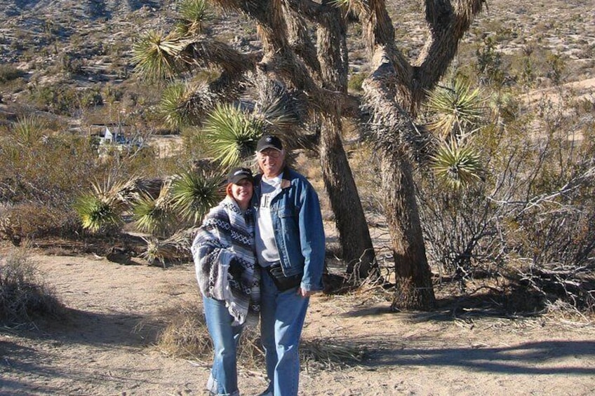 See amazing Joshua Trees.