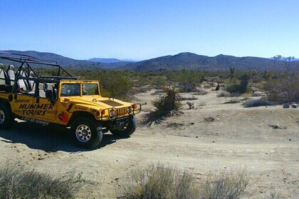 Joshua Tree Open Air Hummer Adventure