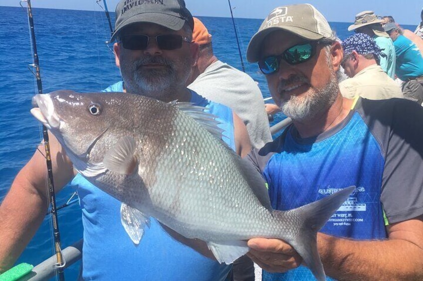 Key West Fishing 10am-4pm Daily