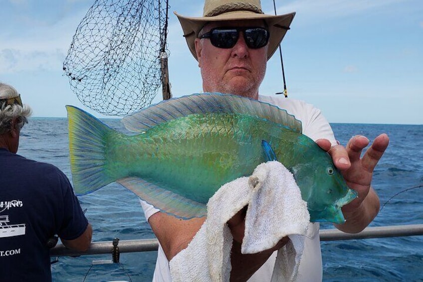 Gulfstream Fishing - Key West 