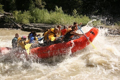 Wildwasser-Rafting Jackson Hole Familienfreundliches klassisches Floß