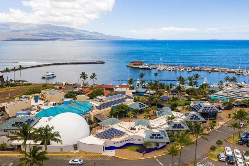 Maui Ocean Center located at Ma'alaea, Maui.