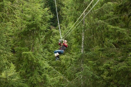 Rainforest Canopy & Zipline Adventure in Ketchikan, AK