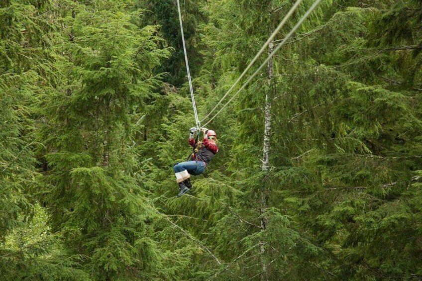 Ketchikan Zipline