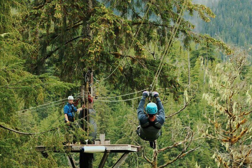 Rainforest Zip, Skybridge & Rappel Adventure in Ketchikan, AK