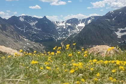 Rocky Mountain National Park i sommartur från Denver