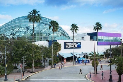 Florida Aquarium in Tampa Bay