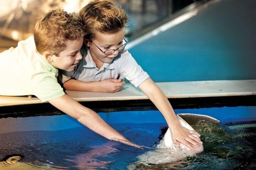 Skip the Line: The Florida Aquarium in Tampa Bay Ticket