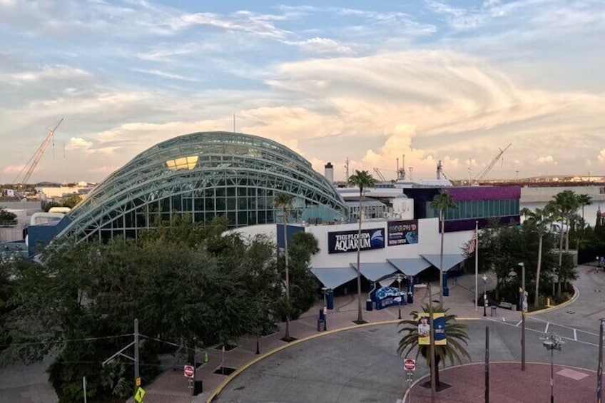 Skip the Line: The Florida Aquarium in Tampa Ticket