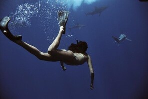 Swim with Sharks (cage-free)
