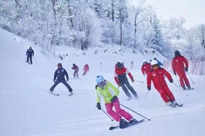 Private Tour to Beginner Skiing Experience Optional Hot Pot Meal