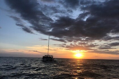 Sunset Tour to Playa Fantasia on Sealounge Catamaran
