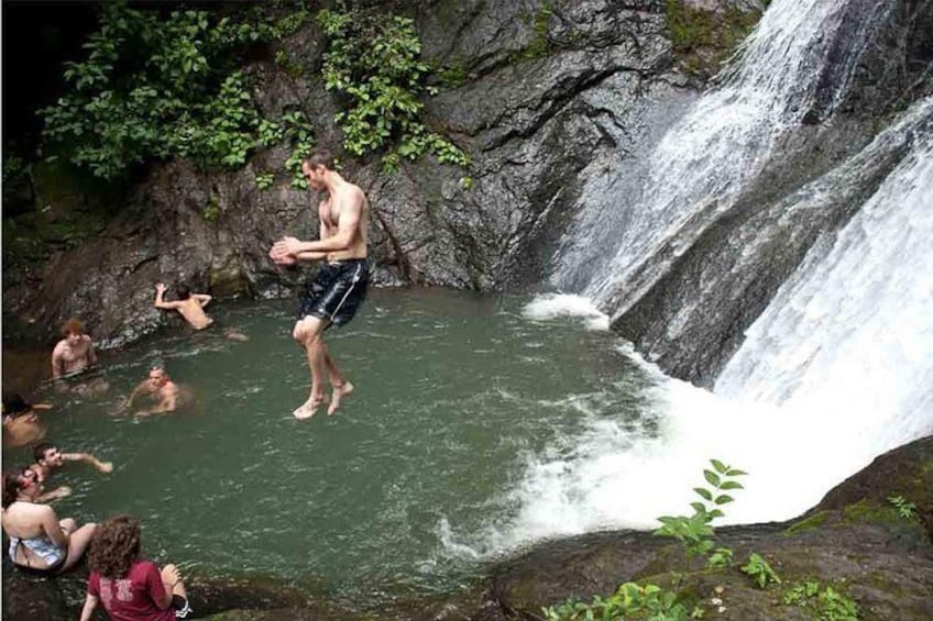 You can jump on a Natural pool in the middle of the jungle!