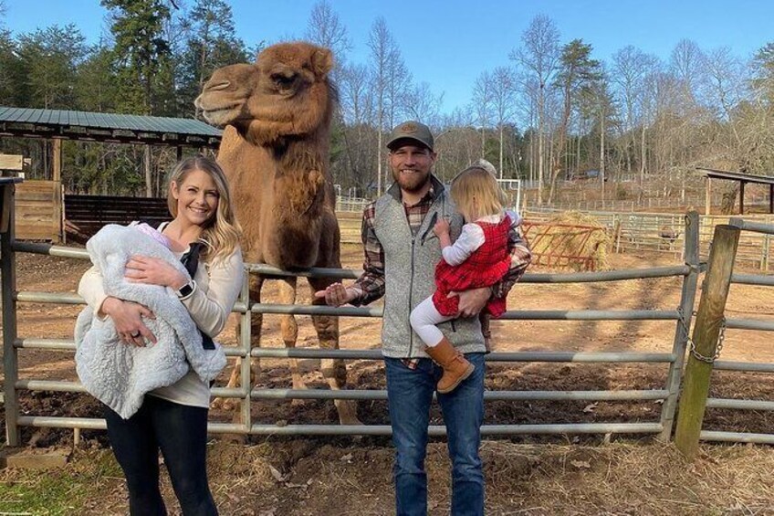 Show item 5 of 7. North Georgia Zoo Wildlife Combo