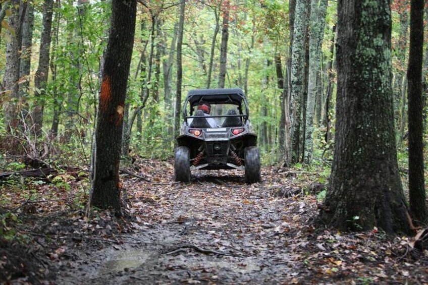 Show item 2 of 7. Premier Powersport Dealer: Sales, Service & UTV Rentals