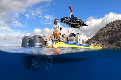 Crucero de buceo de superficie con delfines en la costa Waianae y avistamie...