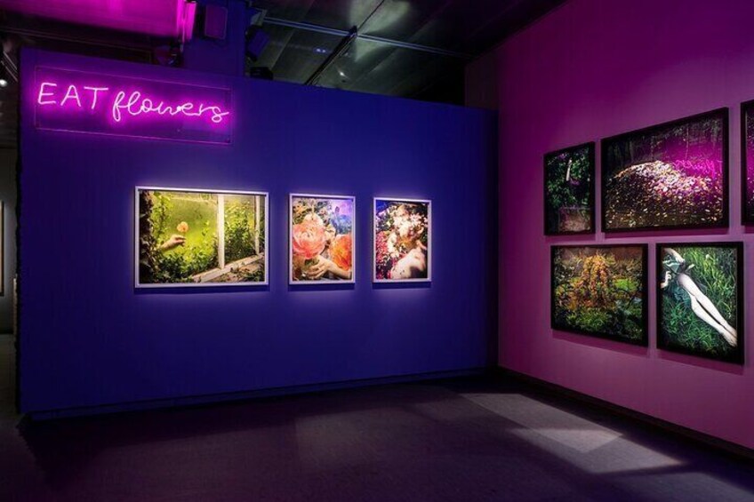 In Bloom Exhibition 2023
