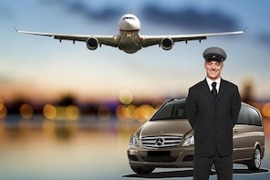 Private transfer Disneyland Hotels to or from Paris Hotels or Train Station...