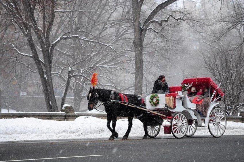 Show item 1 of 10. 45 Minutes Central Park Tour