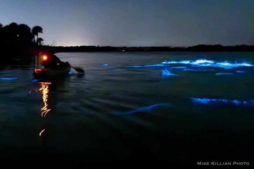 Bioluminescence Night Kayaking Tour of Merritt Island Wildlife Refuge