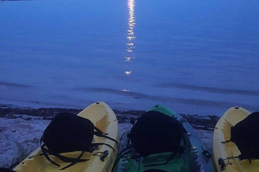 Bioluminescence Night Kayaking Tour