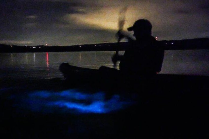 Bioluminescence Night Kayaking Tour of Merritt Island Wildlife Refuge