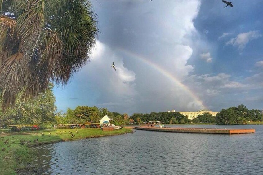 City Park: The Big Lake